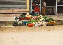 keine Vergr�sserung verf�gbar :-(