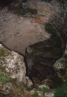 treppe.jpg (37203 Byte)