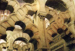 gewirr.jpg (61343 Byte)