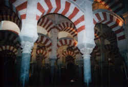 mezquita5.jpg (44981 Byte)