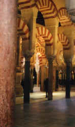 mezquita8.jpg (39020 Byte)