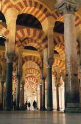 mezquita9.jpg (51181 Byte)