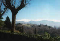 berge_mit_baum.jpg (24838 Byte)