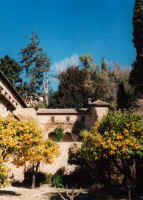 innenhof_mit_orangenbaeumen.jpg (52561 Byte)