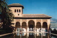 innenhof_mit_palme.jpg (39174 Byte)