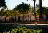 2alte.jpg (65687 Byte)