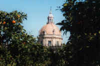 turm.jpg (51065 Byte)