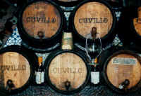 faesser.jpg (121017 Byte)