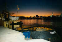 kutter.jpg (44020 Byte)