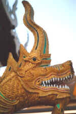 drachengiebel.jpg (24581 Byte)