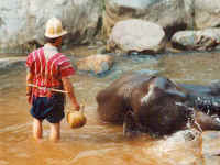 elefantenbad.jpg (33698 Byte)