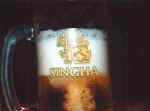 singhabier.jpg (26986 Byte)